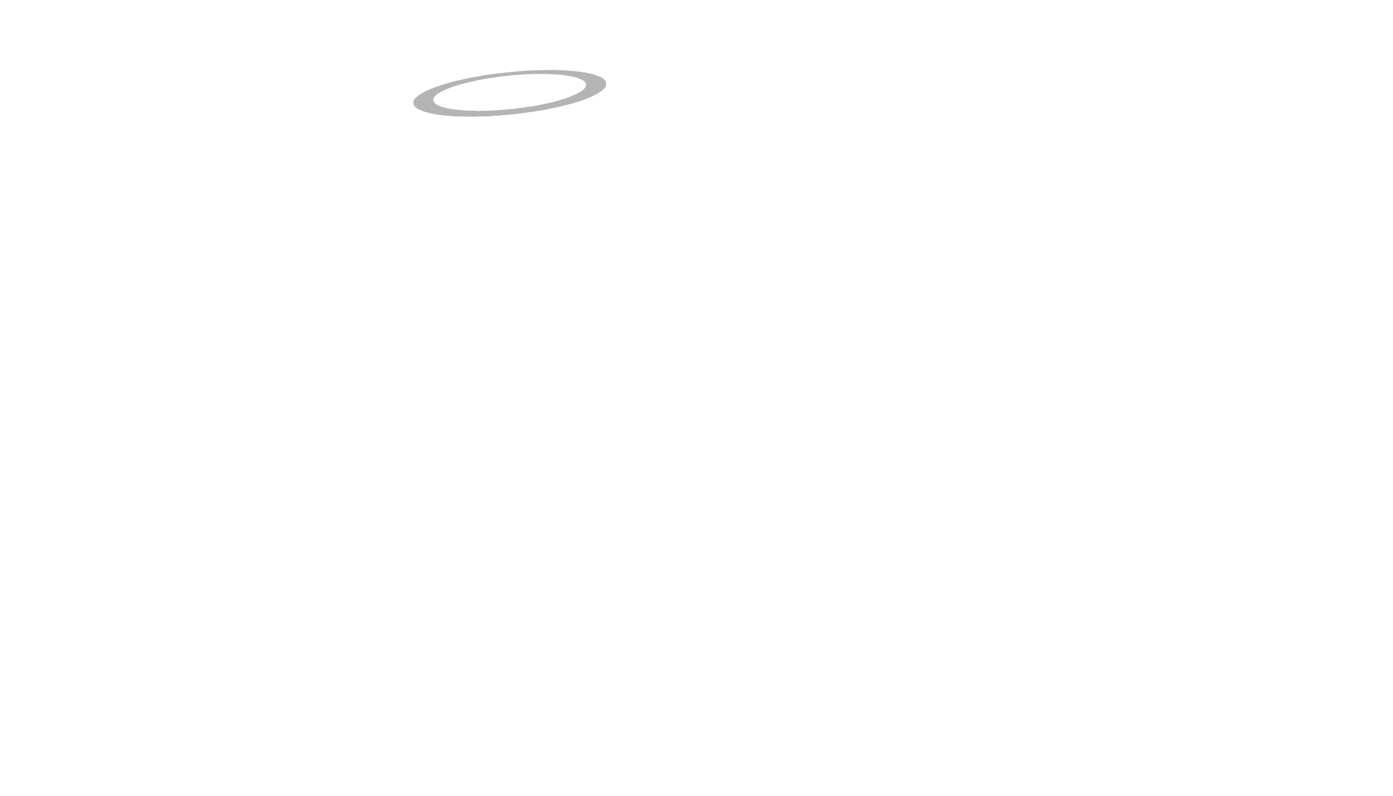 www.saint-vee.com